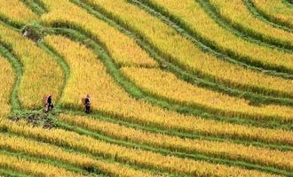 9 Days North Vietnam tour of cultural and natural highlights
